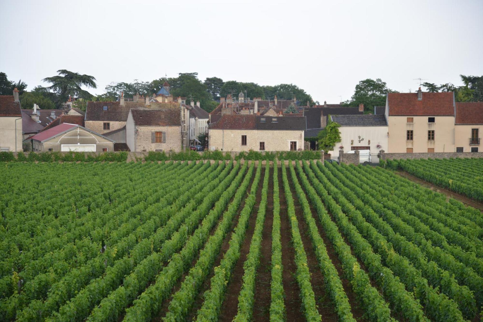 Hotel Les Deux Chevres Gevrey-Chambertin Szoba fotó