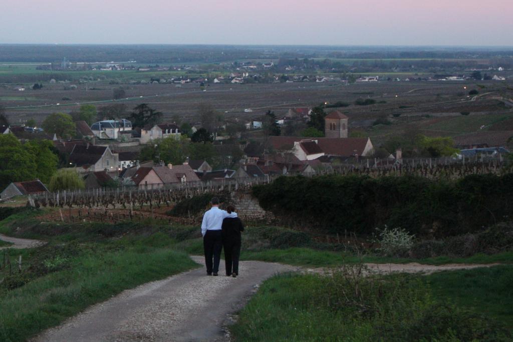 Hotel Les Deux Chevres Gevrey-Chambertin Kültér fotó